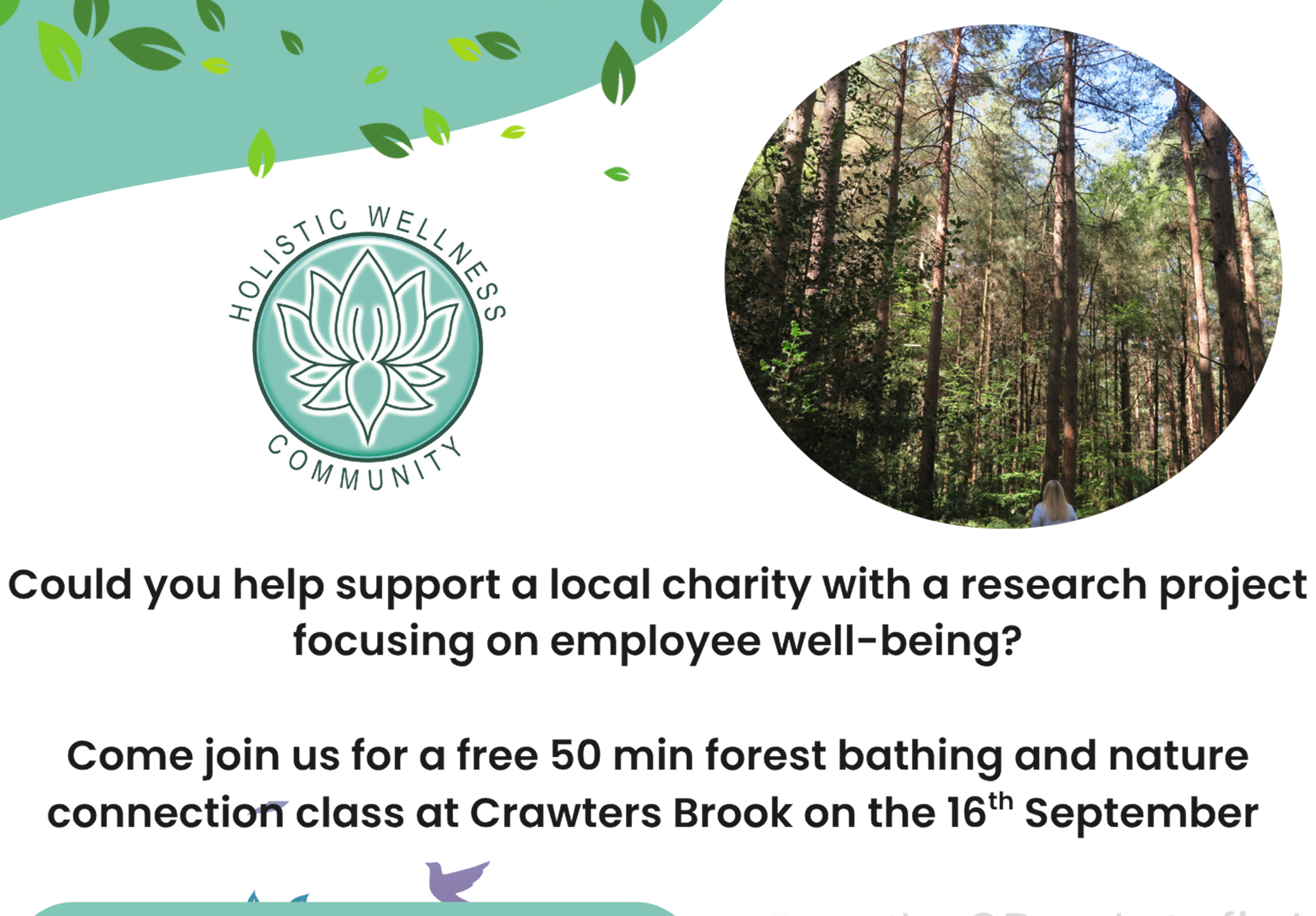 Free Forest Bathing and Nature Connection class